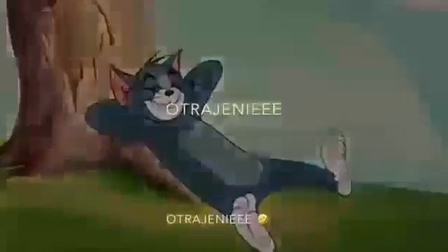 Ваши двери открыты кто меня ненавидите смотреть онлайн