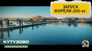 запуск форели 200 кг. 26.10.2024