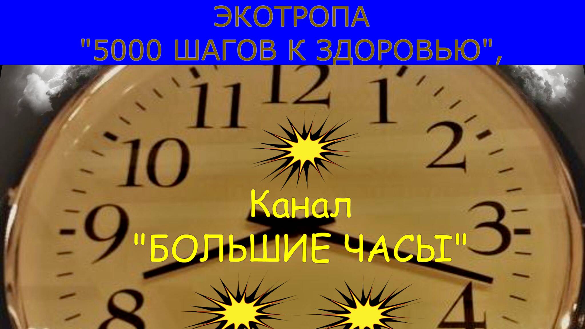 ЭКОТРОПА "5000 ШАГОВ К ЗДОРОВЬЮ", белка наблюдает за тобой...