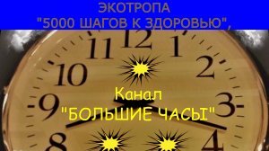 ЭКОТРОПА "5000 ШАГОВ К ЗДОРОВЬЮ", белка наблюдает за тобой...