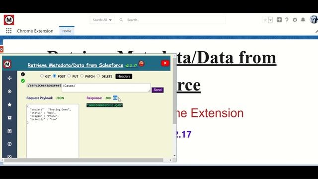 Retrieve Metadata/Data from Salesforce | v2.2.17 Updates #salesforce #restclient #chromeextension