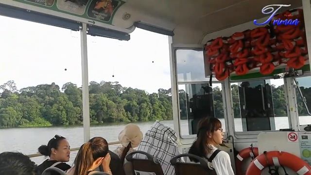 Singapore River Safari|Reservoir Cruise|Amazon Flooded Forest|River Quest|Singapore Attractions 201 смотреть онлайн
