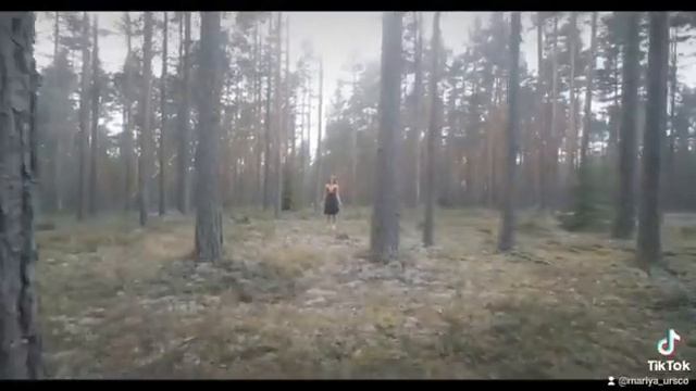 Ведьмин Лес. Гвоздестояние. смотреть онлайн