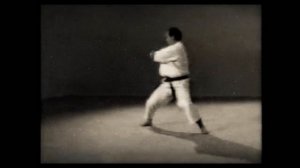 21 Каратэ. Наследие Накаямы. Ката Сочин