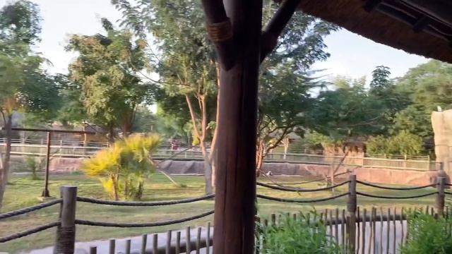 Dubai Safari Park | African Village | Part 2 | It’s Me Ahlyn смотреть онлайн