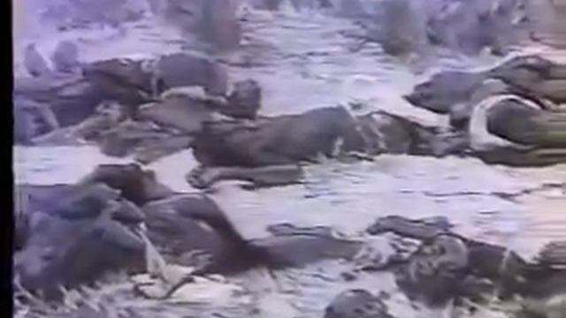 The Magnificent African Cake African History 1 of 4 смотреть онлайн