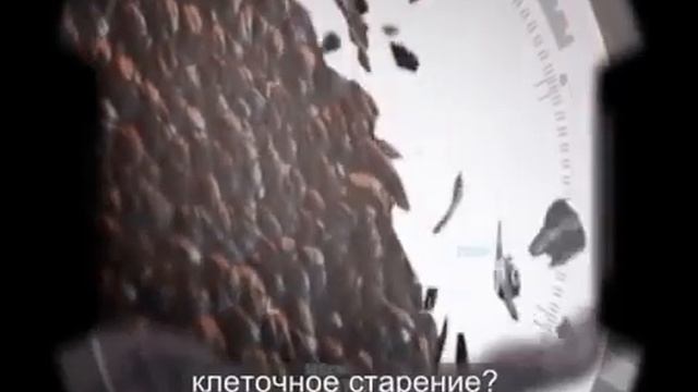 Такого Вы еще не видели  Финити   омоложение на клеточном уровне  Волшебство или реальность