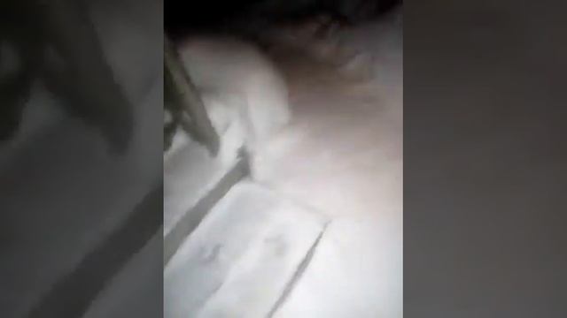 С Валентином! смотреть онлайн