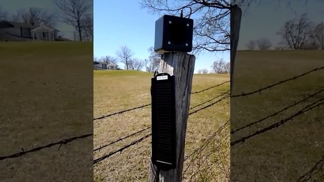 Sonic Bloom Spring Birdsong Demonstration смотреть онлайн