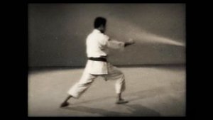 15 Каратэ. Наследие Накаямы. Ката Дзиин