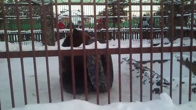 Миша смотреть онлайн