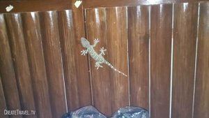 Life on Phu Quoc Island - Bambusa Resort 2020 - Vietnam Travel Vlog - www.phuquoc.createtravel.tv