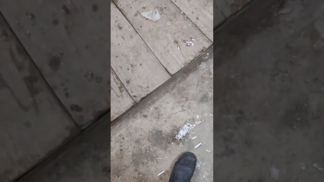 Тестирование материалов для изготовления роликов для автоматических дверей смотреть онлайн