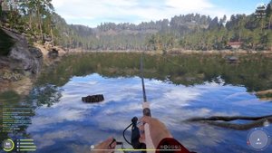 Троф Форель  13+кг. Русская рыбалка 4.Куори.