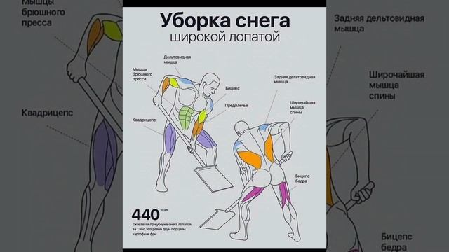 УПРАЖНЕНИЕ КОПКА СНЕГА смотреть онлайн