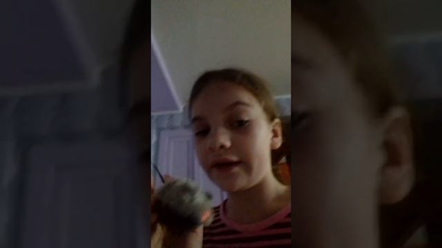 Рум тур по залу и кухне