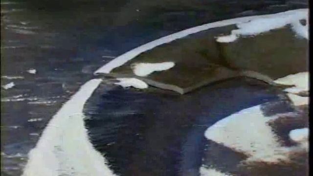 КАВАСАКИ 5G_Pipe_MIG_Welding___Welding_Tips___Tricks__Welding__MIG__W смотреть онлайн