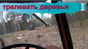 Еще один день работы в лесу по заготовке дров для отопления своего деревенского дома в деревне.