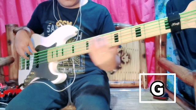 You Make Me Brave / Amanda Cook Bass Cover With Chords смотреть онлайн