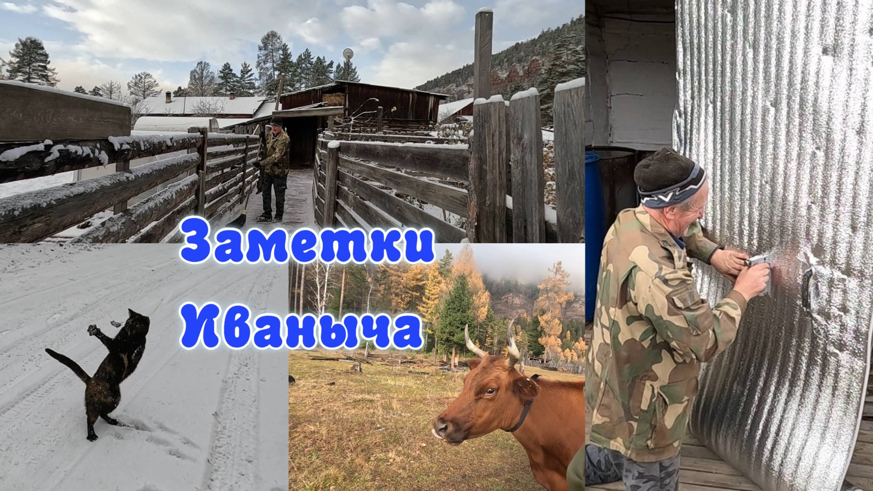 Утепляемся к зиме, в мире животных