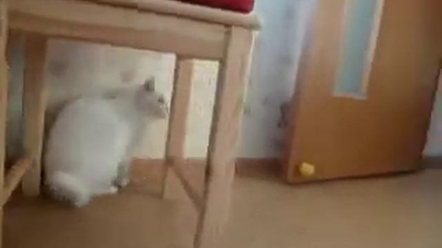 Поиграла потихоньку смотреть онлайн