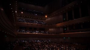 XAVER VARNUS PLAYS BEETHOVEN'S FIFTH SYMPHONY ON THE GREAT ORGAN OF THE PALACE OF ARTS IN BUDAPEST