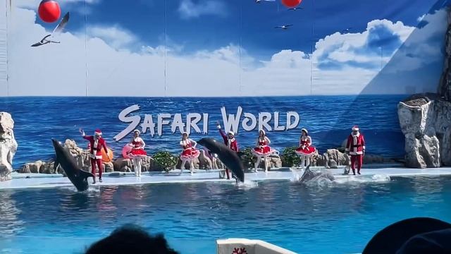 ซานต้าโลมา @Safari World Bangkok смотреть онлайн