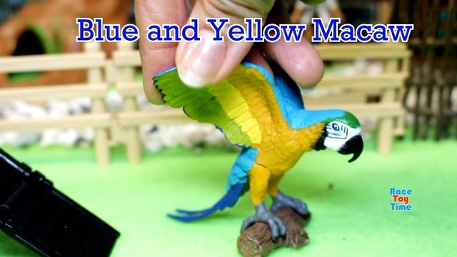 Animal Care Center Diorama Set for Safari Animal Figurines смотреть онлайн