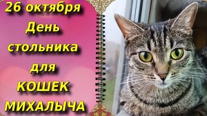 26 ОКТЯБРЯ. День Стольника для КОШЕК МИХАЛЫЧА.