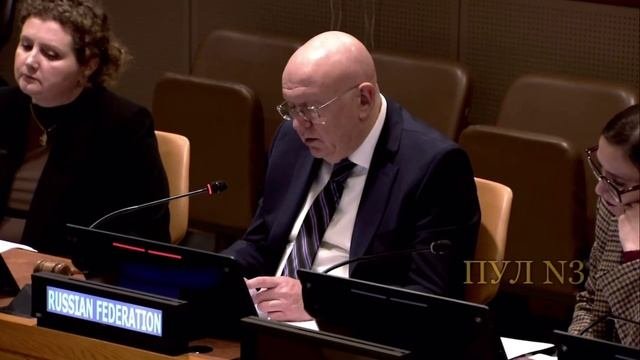 Западные спецслужбы готовили украинские ДРГ для провокаций на АЭС в России - В.Небензя