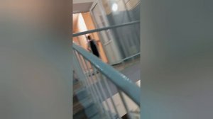 мы попали в закулисье в реальной жизни