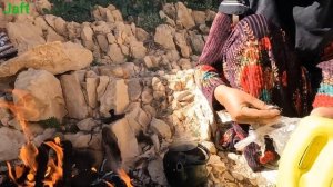 Wolf dog hunting by a brave and brave Iranian nomadic woman