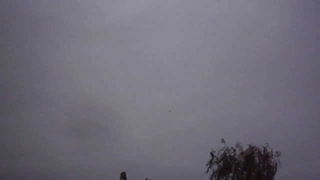 Отпускаем шарик в небо♥♥Киса Перси#Две кошки в доме?! смотреть онлайн