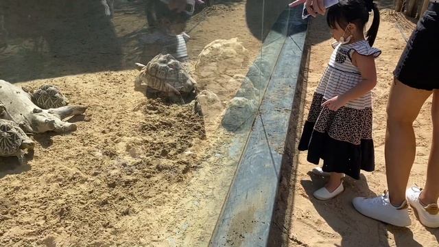 DUBAI SAFARI PARK ADVENTURE