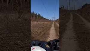 Квадроцикол FORTE BRAVES 200 cc