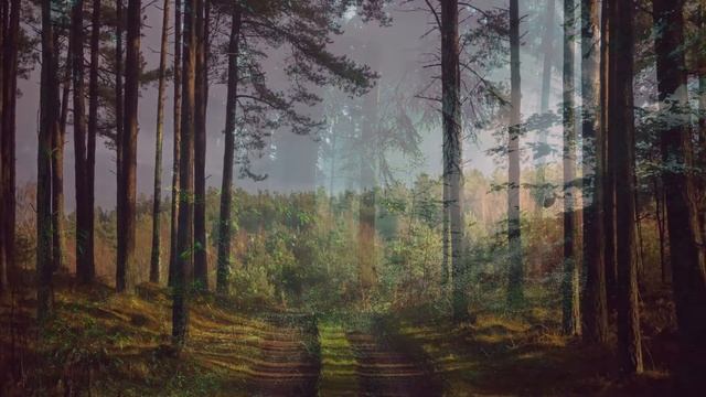 Целебные средства для лечения анемии смотреть онлайн