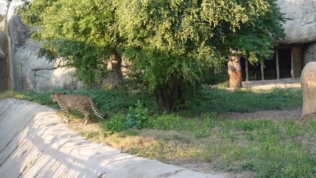 Dubai Safari Park adventure