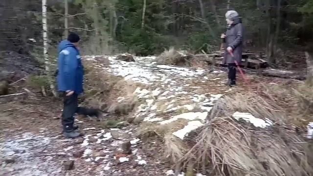 Заброшенная база отдыха "Сосновка" /Первый лёд /Осенний лес.