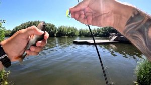 ОКУНЬ НА КАЖДОМ ЗАБРОСЕ!МИКРОДЖИГ C CF NANO ONE AIR