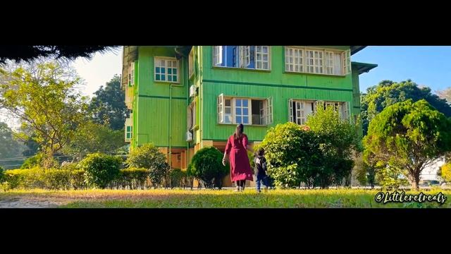 Elephant Safari | Jaldapara National Park | Hollong Tourist Lodge | North Bengal Tourism