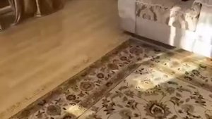 Чеченский прикол!