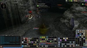 Dungeons & Dragons Online: R1 Solo - The Final Vintage