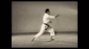 16 Каратэ. Наследие Накаямы. Ката Энпи