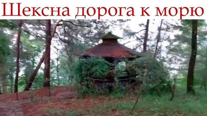 Дорога к морю по лесу в пансионате Шексна!