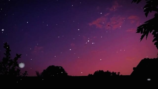 Serena - Safari||Showed and Reverb||Lofi Remix English Music||English song||Sleepy/Study/Alone/Rela