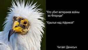 Э. Хемингуэй Рассказы