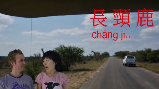 Wild Animals Chinese 野生動物英文 смотреть онлайн