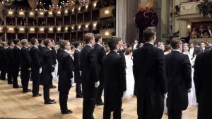 Wiener Opernball 2020, Balleröffnung