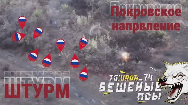 Бойцы бригады «Бешеные псы» совершили дерзкий штурм позиций противника