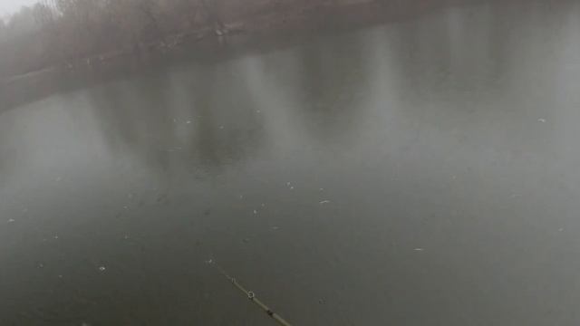 Abu Garcia REVO ULTRACAST BF8-L+ZoomSafari ZMSC-765L смотреть онлайн